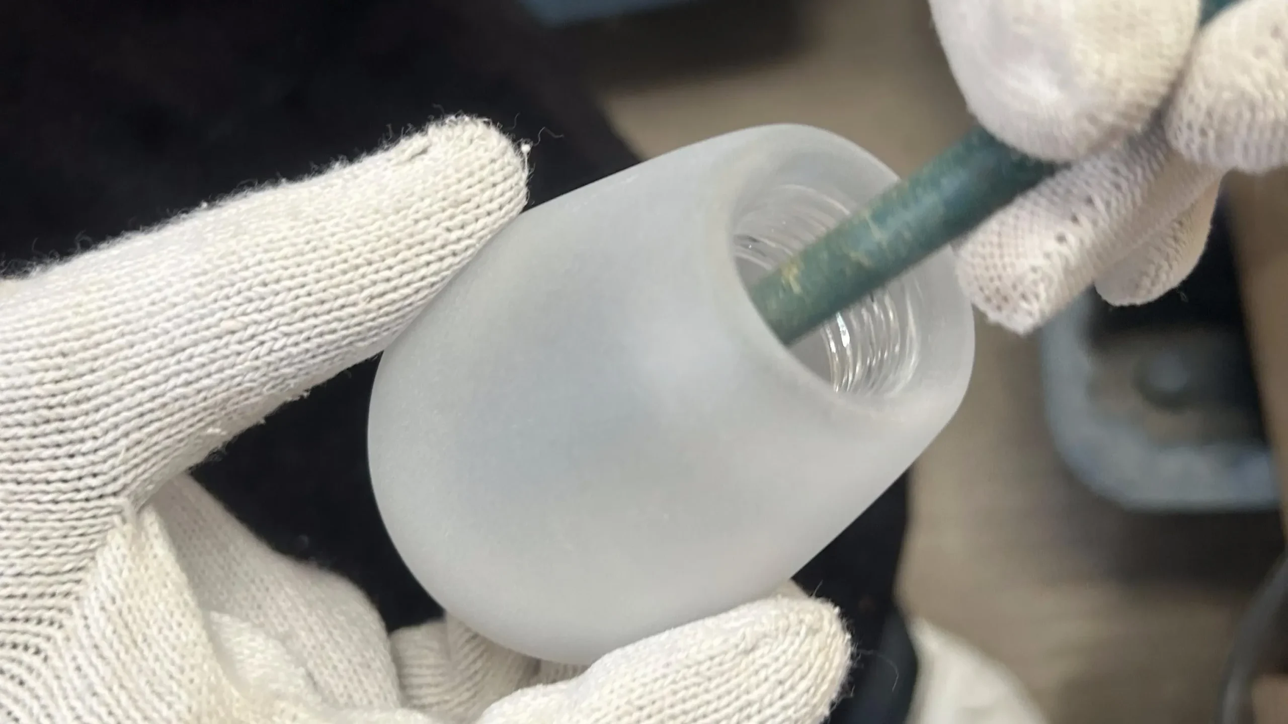 The Bulb Shell (1)