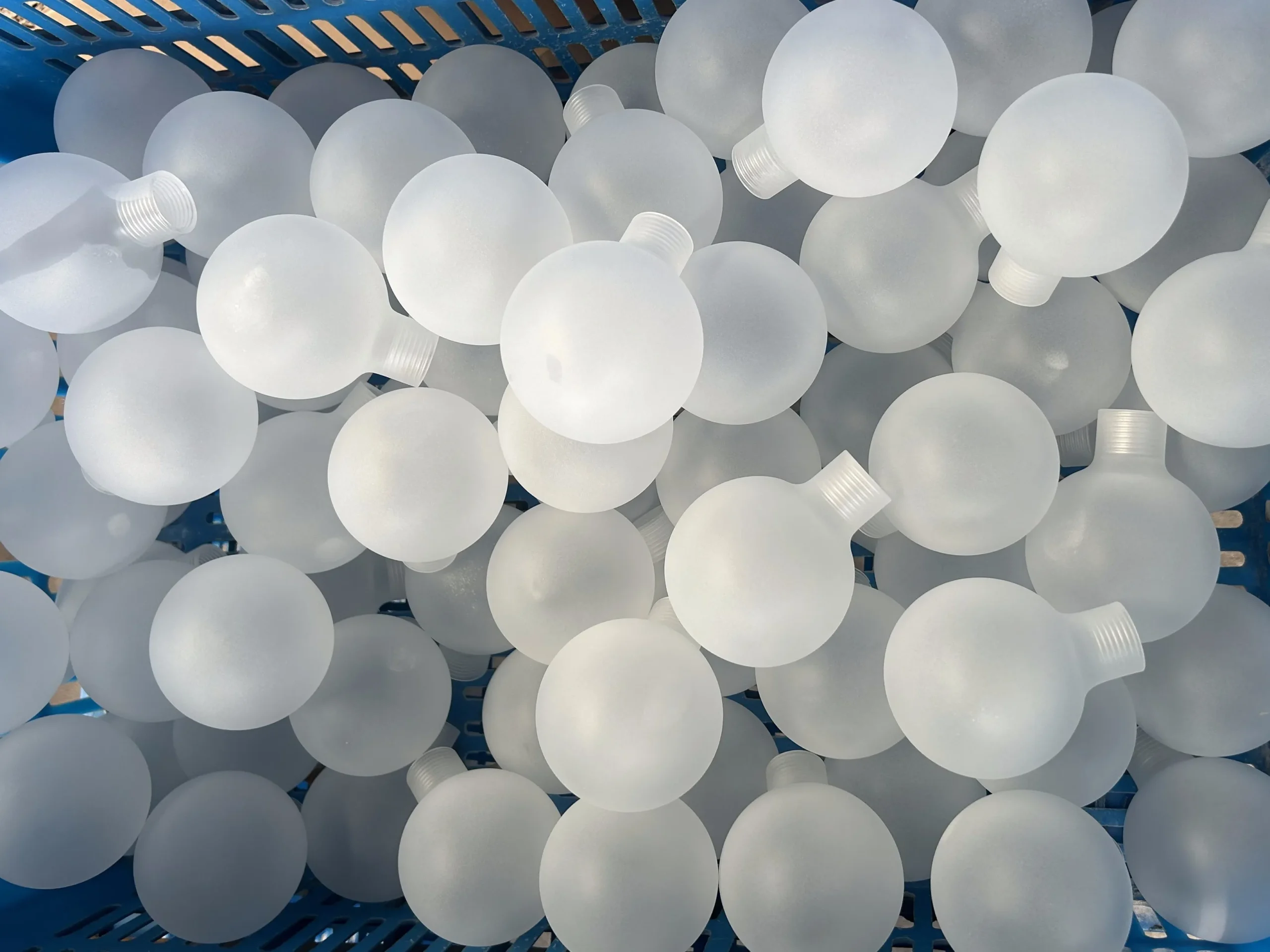 The Bulb Shell (2)