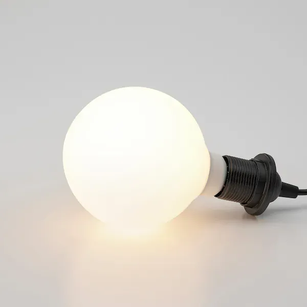 The Bulb Shell (2)_1