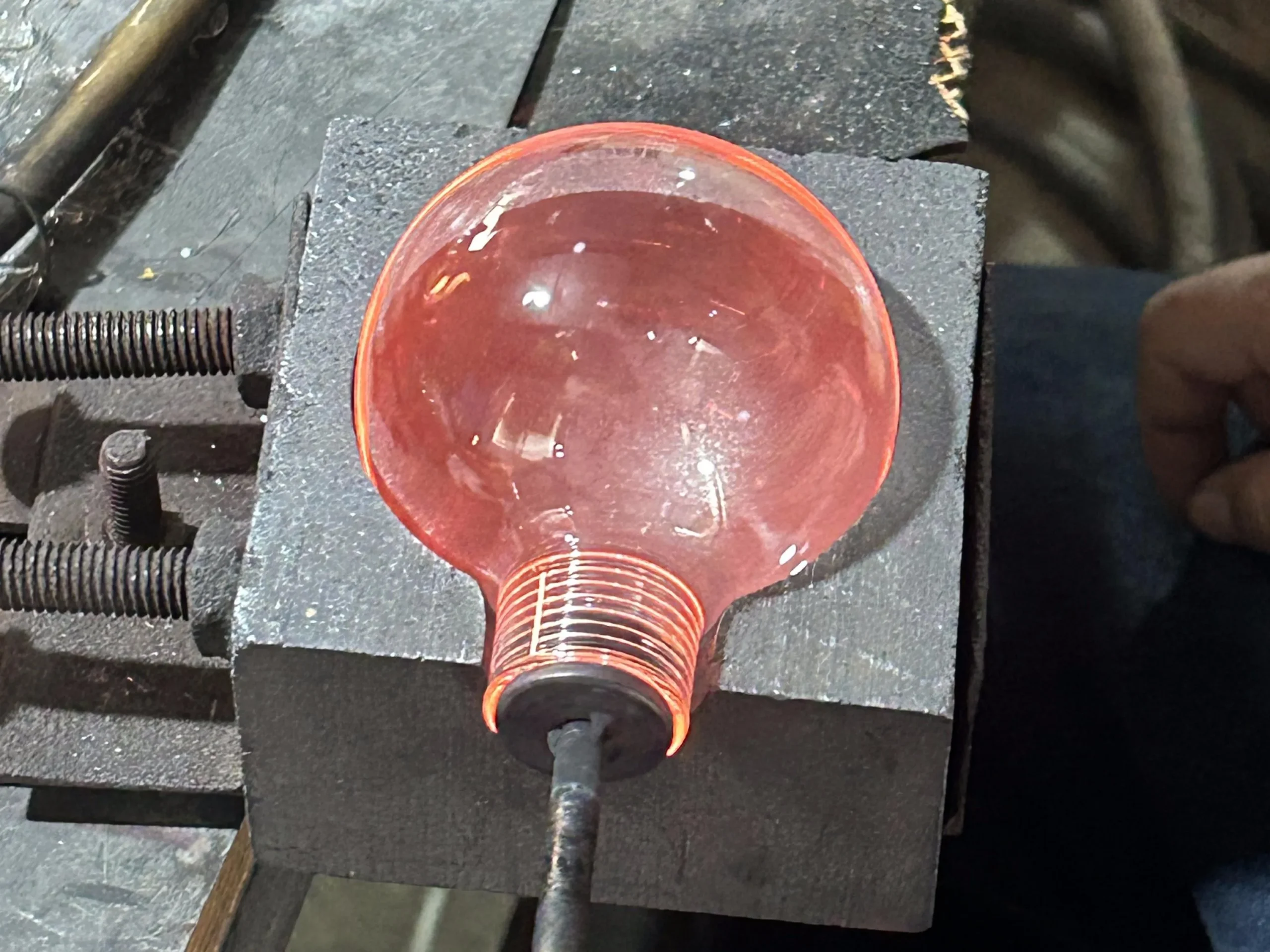 The Bulb Shell (4)