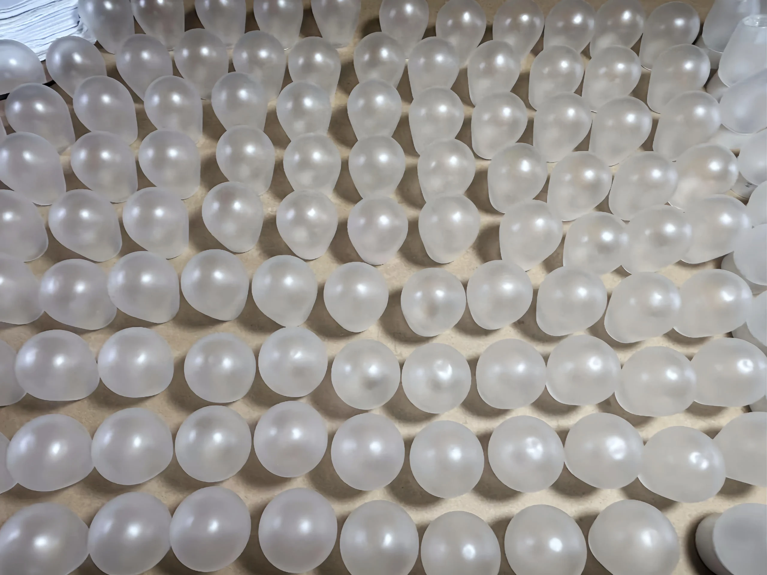 The Bulb Shell (5)