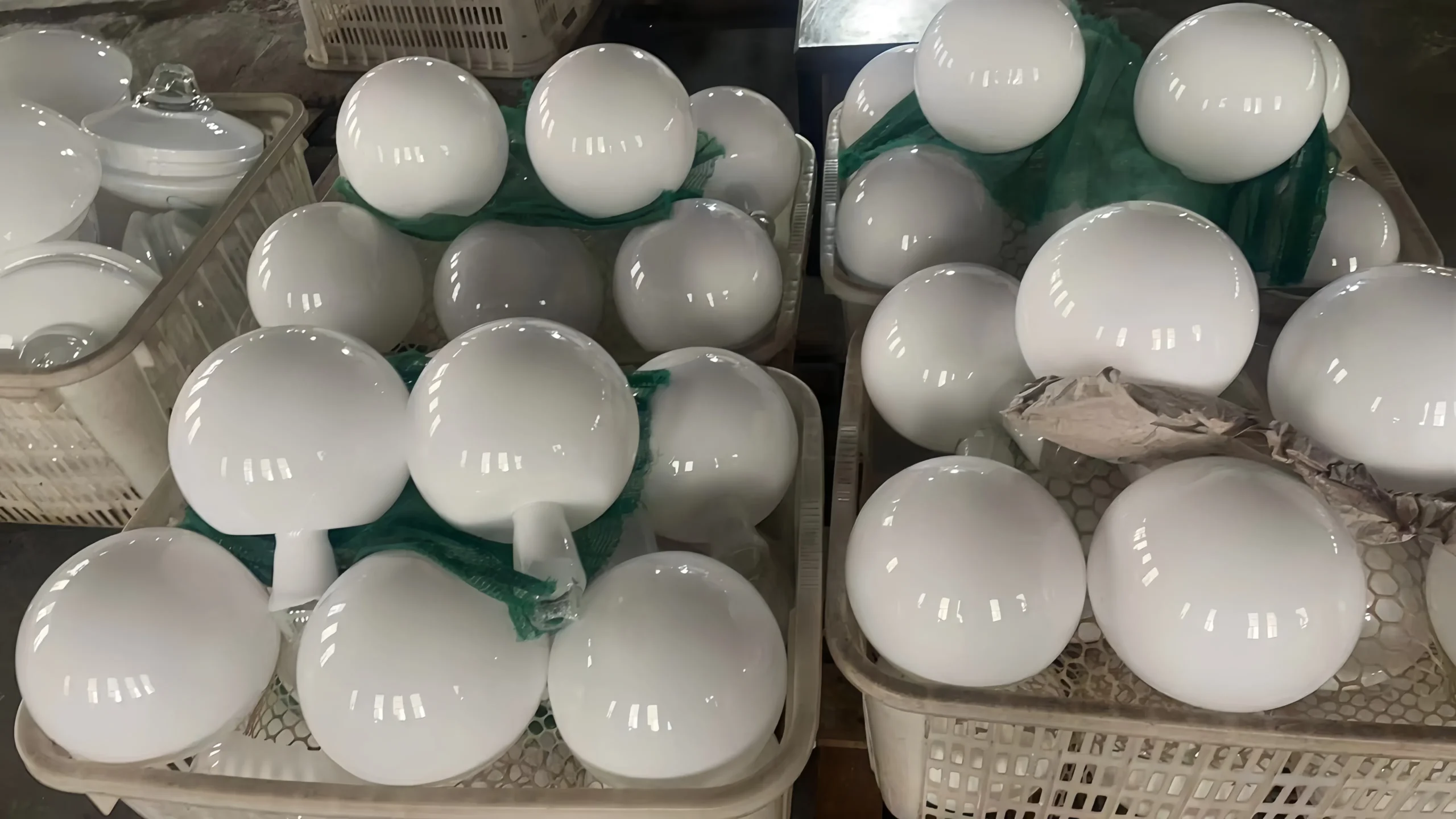 Custom Opal Glass Screw-Neck Globes for Zangra Lighting (6)