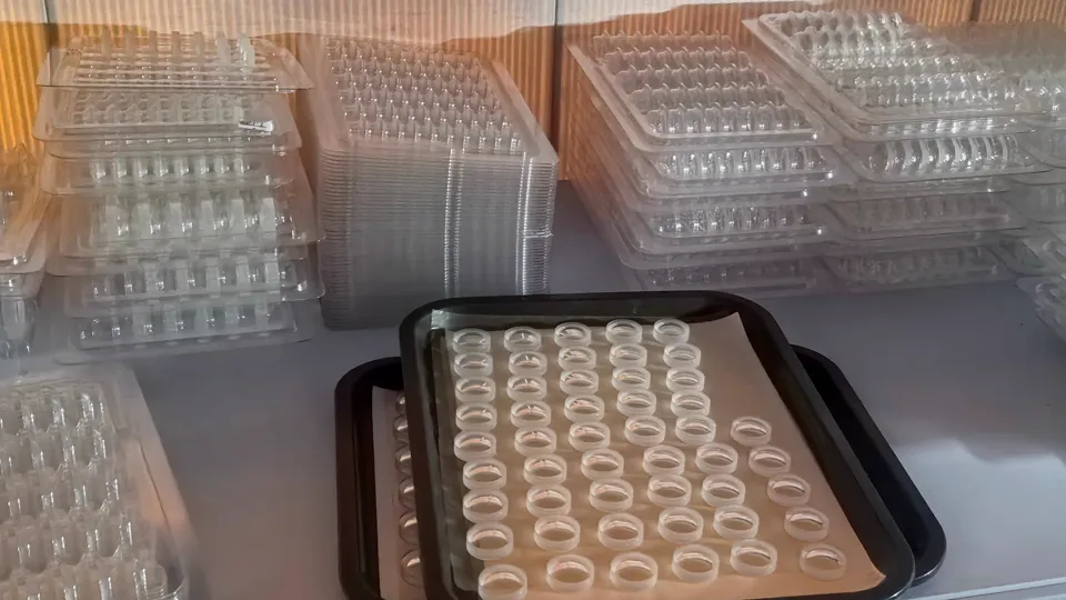 Small optical glass parts separated in individual trays for controlled handling