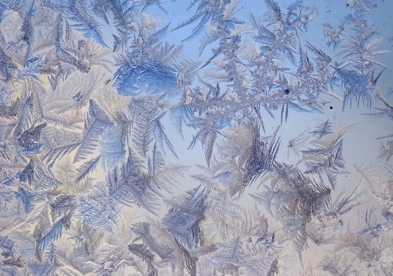 Ice-flower decorative texture visible across a glass surface.