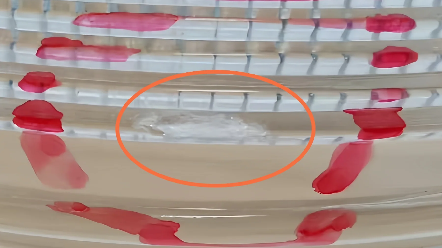 Close-up of ribbed clear glass with coloured inspection marks and a circled surface irregularity.
